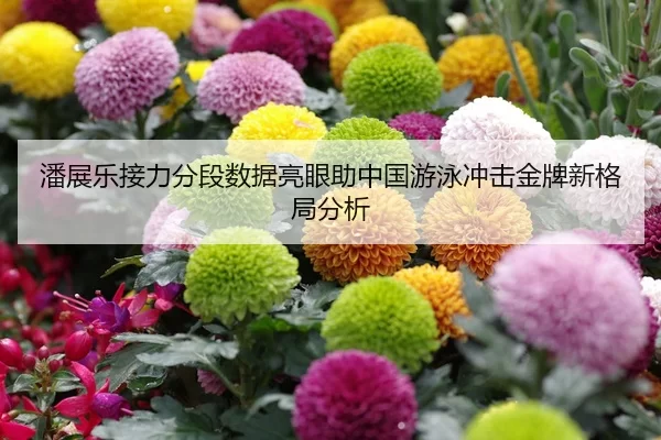 潘展乐接力分段数据亮眼助中国游泳冲击金牌新格局分析