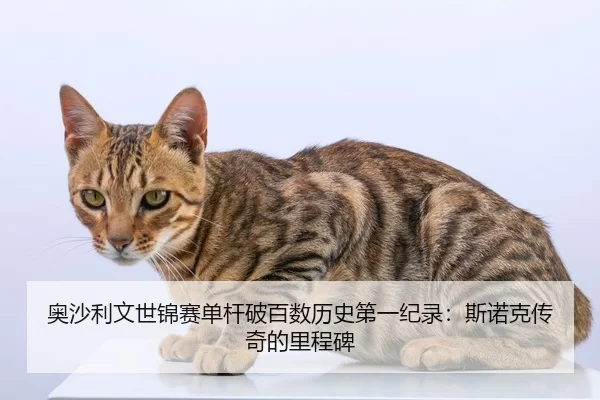 奥沙利文世锦赛单杆破百数历史第一纪录：斯诺克传奇的里程碑