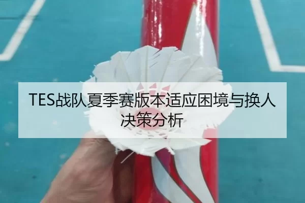TES战队夏季赛版本适应困境与换人决策分析